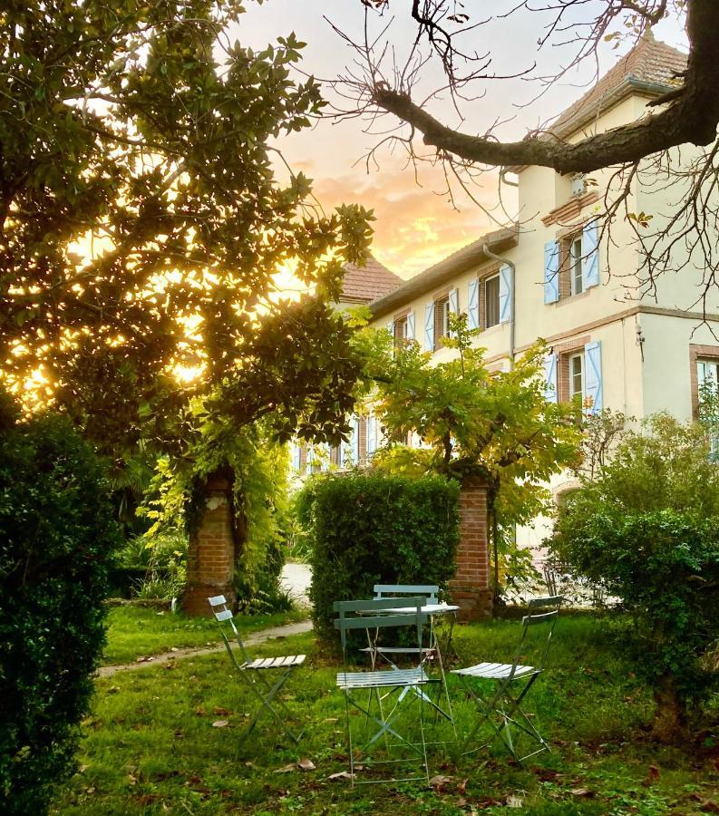 Domaine De Menerque - Petit Chateau Avec Piscine Lisle-sur-Tarn Екстериор снимка