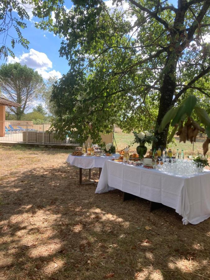 Domaine De Menerque - Petit Chateau Avec Piscine Lisle-sur-Tarn Екстериор снимка
