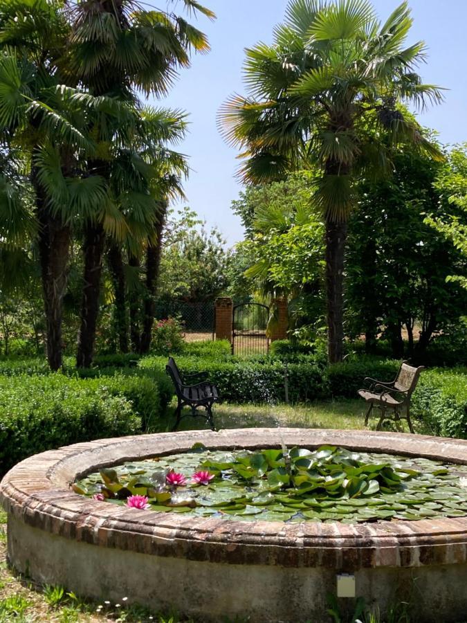 Domaine De Menerque - Petit Chateau Avec Piscine Lisle-sur-Tarn Екстериор снимка
